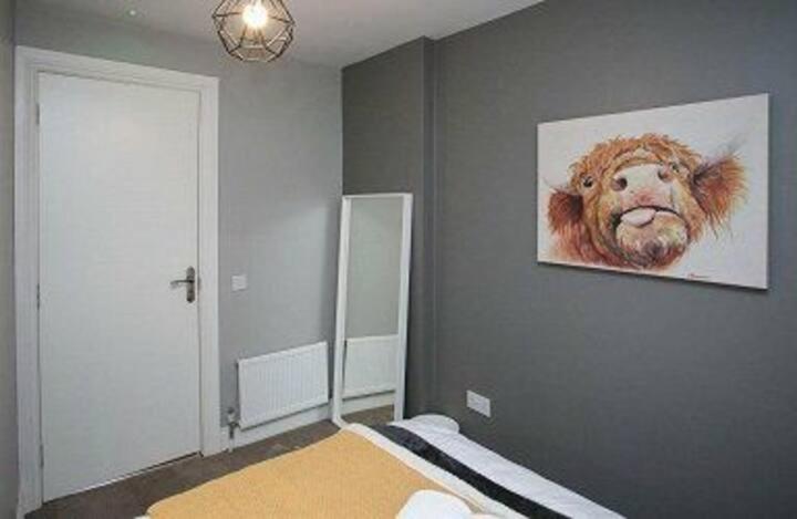 Amazing 3 Bedroom Home, Prime Bt1 Postcode And City Centre Location ベルファスト エクステリア 写真